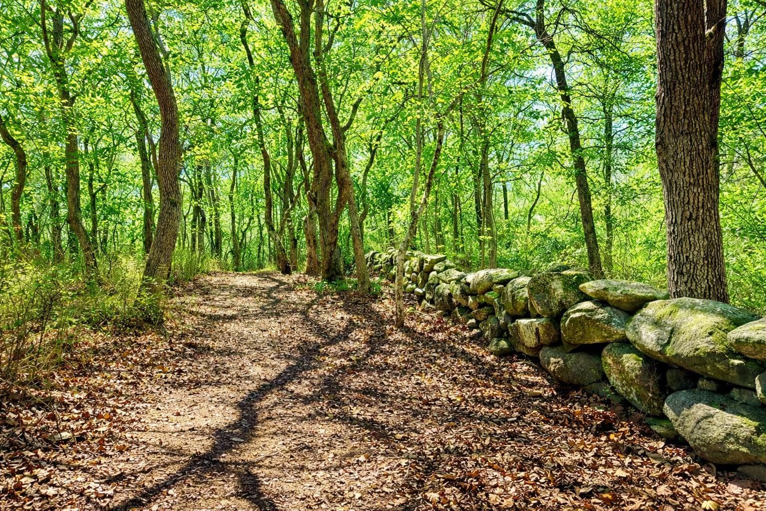 0 North Road/15 Belhaven Way