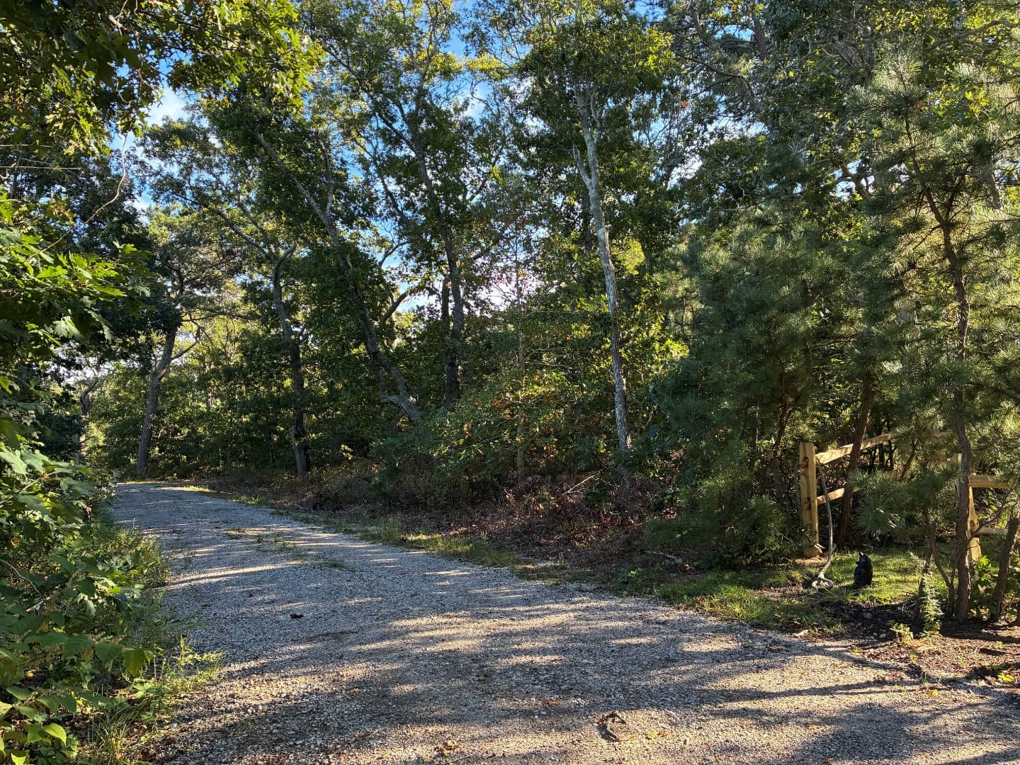 0 Forest Avenue